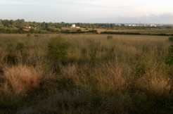 SOLAR URBA EN VENDA – URB SANTA MARIA, VILANOVA I LA GELTRU