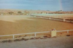 HIPICA EN VENTA – ALICANTE