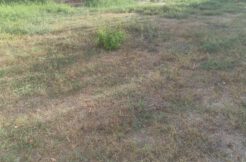 SOLAR URBANO EN VENTA – CUBELLES