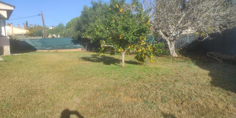 141eaec4-f1f3-4559-b5c6-3e5b868edaf9