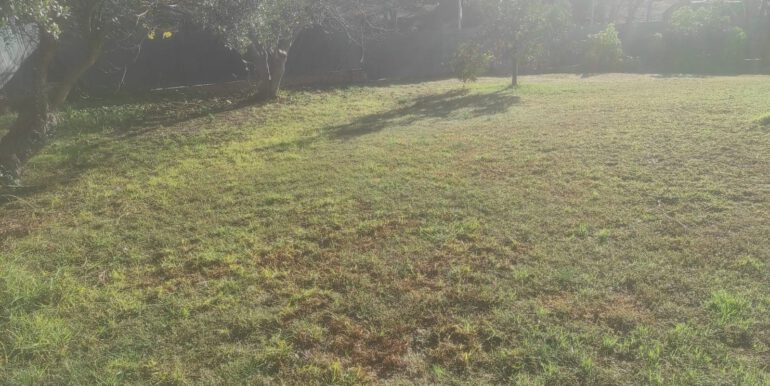 a355ea09-ad6b-4ed6-b921-099e75f27cc1