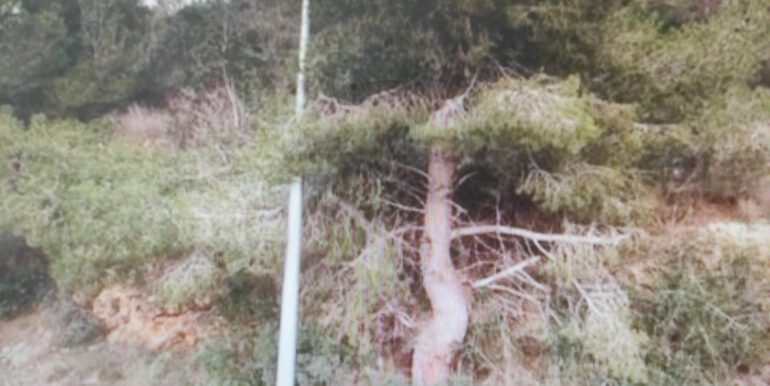 cd0cfe32-0e0f-43f2-ac13-e7fd6933c01a